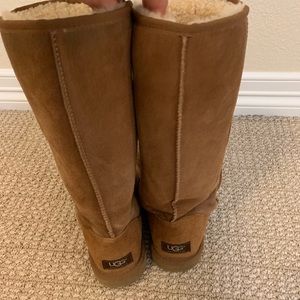 Tall chestnut Uggs